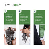 Anti-Dandruff Shampoo (250 ml) & Conditioner (175 gm) Combo with Salicylic Acid & Rosemary