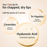 Natural Lip Balm for Chapped & Pigmented Lips | SPF 50 PA++++ & Kojic Acid | 4.5 gm