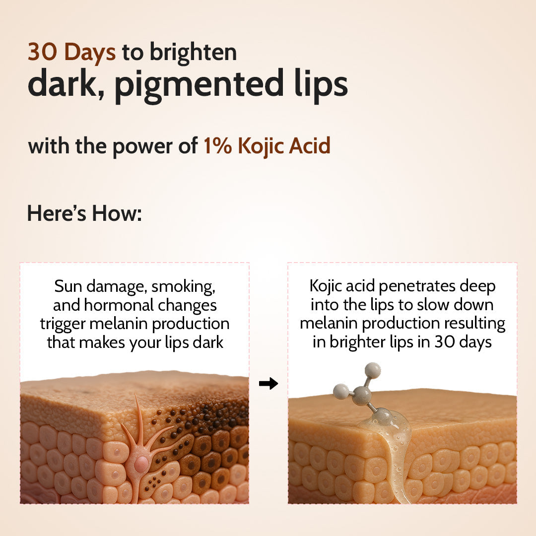 Natural Lip Balm for Chapped & Pigmented Lips | SPF 50 PA++++ & Kojic Acid | 4.5 gm