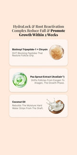 Root Boost