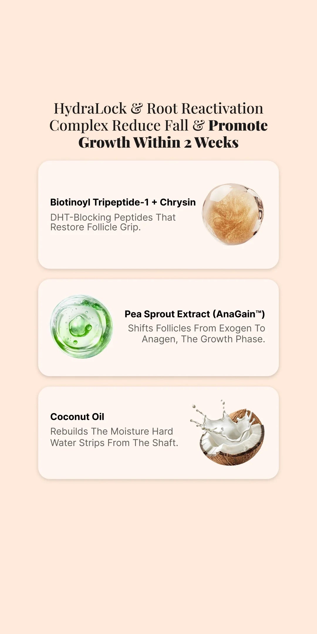 Root Boost