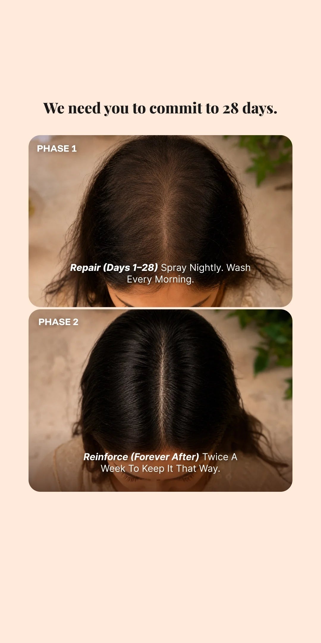 Root Boost