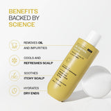 Oil Control Shampoo with Salicylic Acid, Hyaluronic Acid & Tea Tree for Oily Scalp - 236 ml