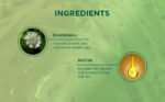20_Bhringraj_BiotinShampoo_300ml