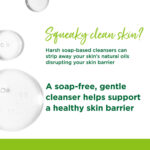 Refreshing_Facial_Wash_Cleansing_Wipes
