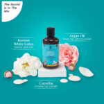 arganoilhairconditioner1