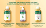 30_Eggplex_KeratinShampoo_300ml