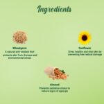 Wheat-Germ_Night-Cream_50g