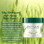 Wheat-Germ_Night-Cream_50g