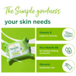 Refreshing_Facial_Wash_Cleansing_Wipes