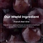 red-vine-night-gel-creme-with-retinol-mulberry-vit-c-123395_c0a952fe-2ad4-411a-ac24-9fcd8b795a47