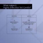 NMF1_1e4314c5-d743-426f-8ec1-edc3e96a9524