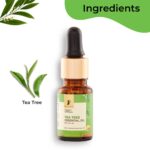 tea-tree-essential-oil-785382